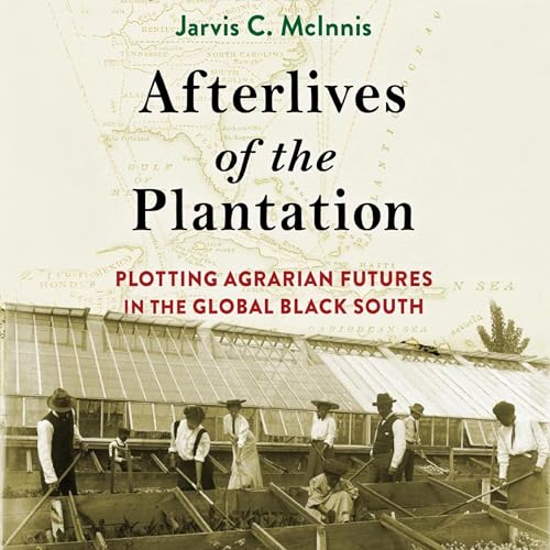 Cover of Afterlives of the Plantation