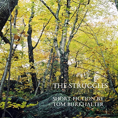 Cover of The Struggles