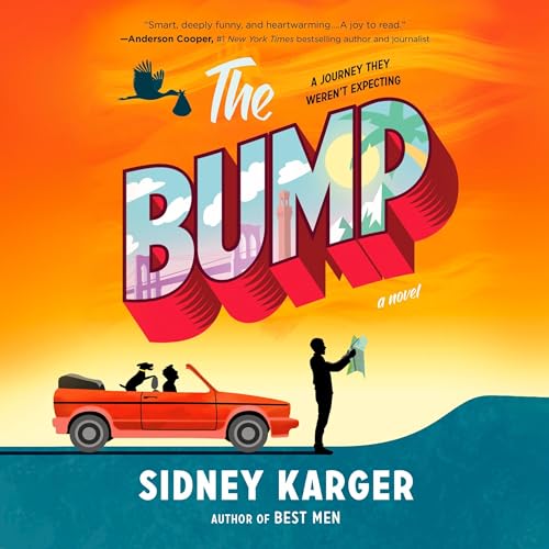 Cover of The Bump