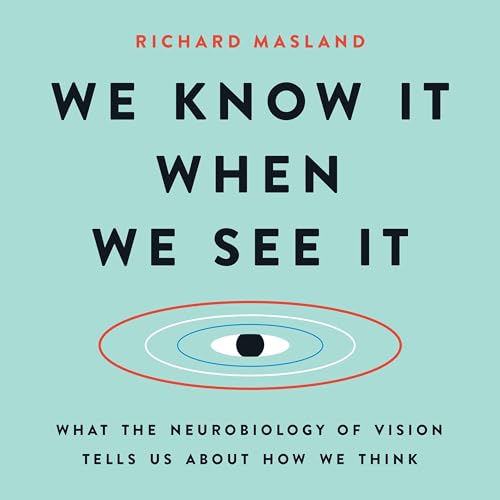 Cover of We Know It When We See It