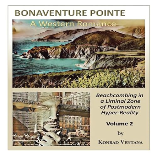 Cover of Beachcombing in a Liminal Zone of Postmodern Hyper-Reality