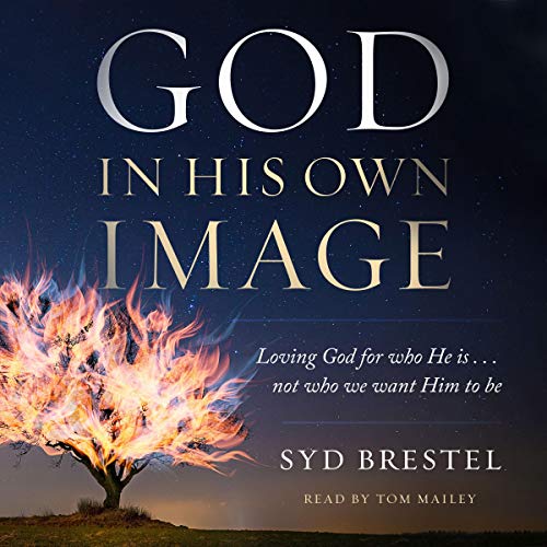 Cover of God in His Own Image