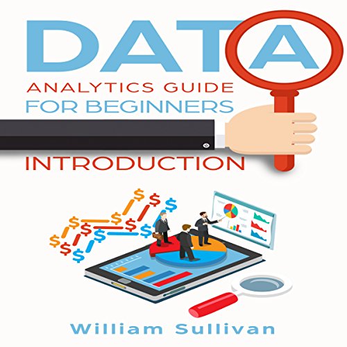 Cover of Data Analytics Guide for Beginners: Introduction