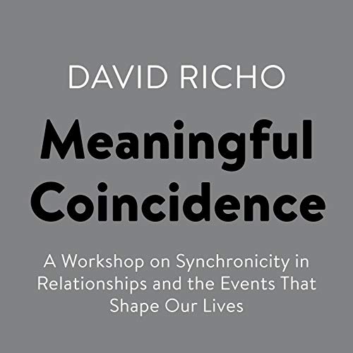Cover of Meaningful Coincidence