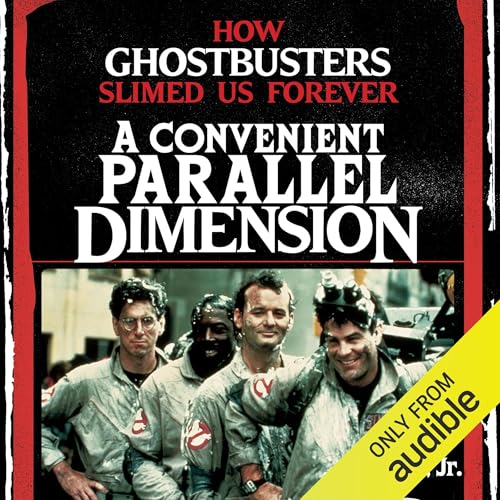 Cover of A Convenient Parallel Dimension