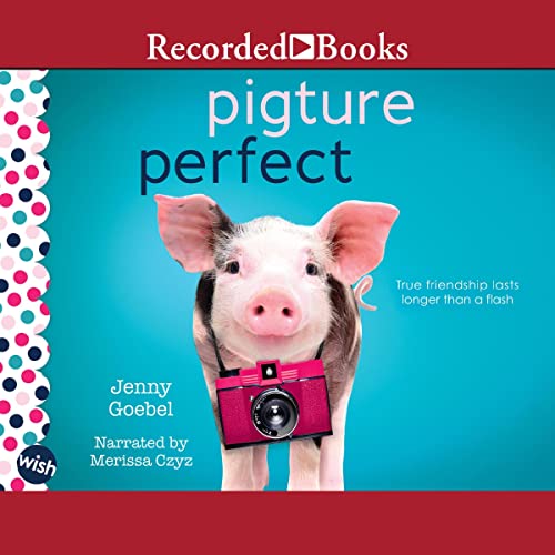 Cover of Pigture Perfect