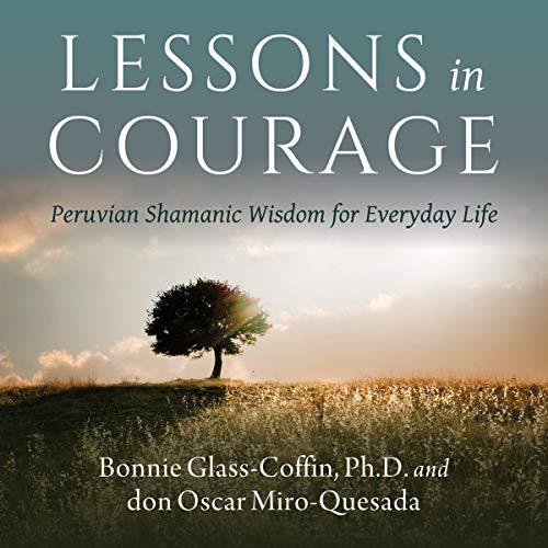 Cover of Lessons in Courage