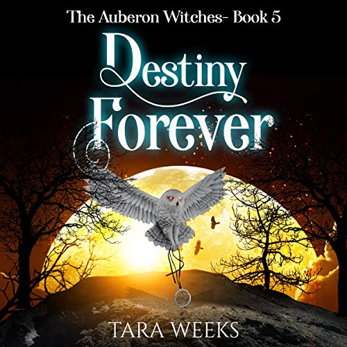 Cover of Destiny Forever