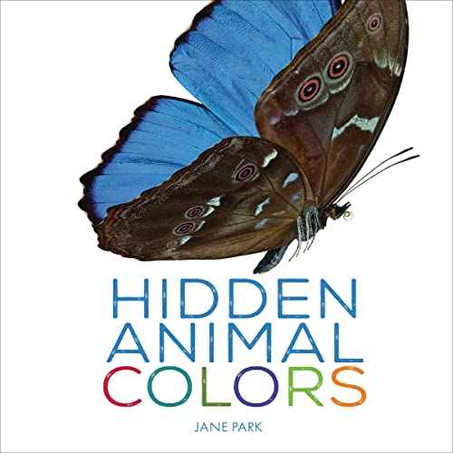 Cover of Hidden Animal Colors