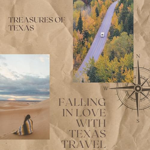 Cover of Treasures of Texas