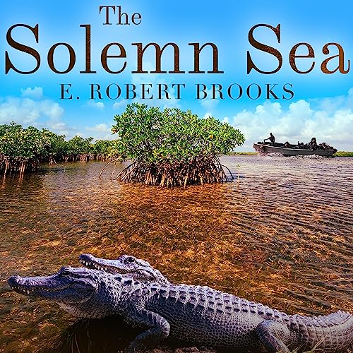 Cover of The Solemn Sea