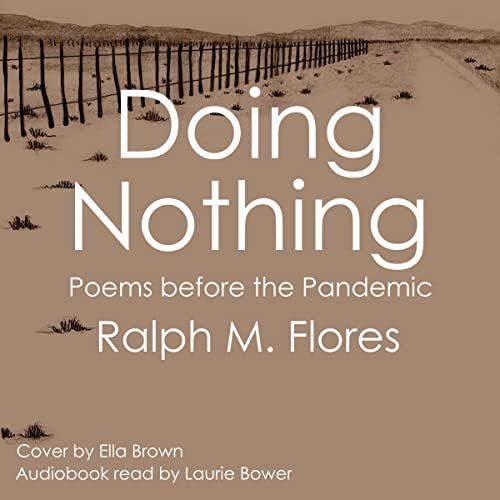 Cover of Doing Nothing