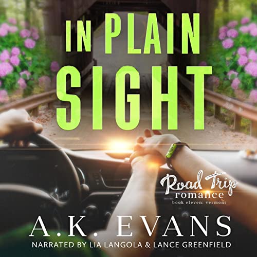 Cover of In Plain Sight