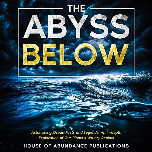 Cover of The Abyss Below