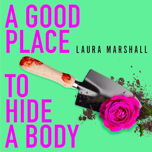 Cover of A Good Place to Hide a Body