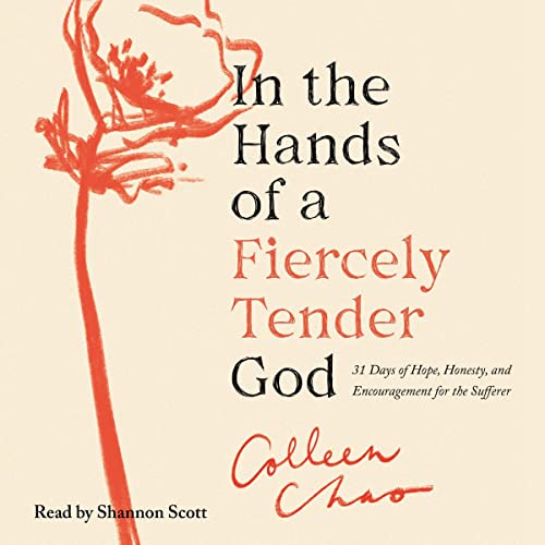 Cover of In the Hands of a Fiercely Tender God