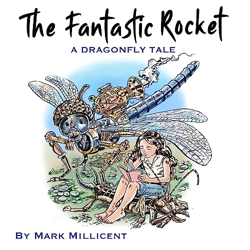 Cover of The Fantastic Rocket