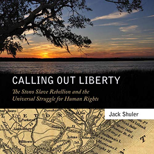 Cover of Calling Out Liberty
