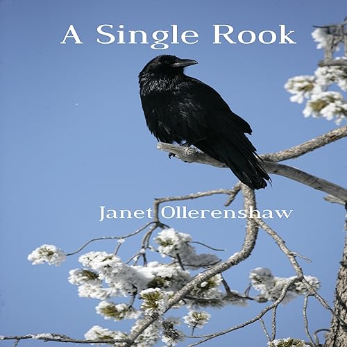 Cover of A Single Rook