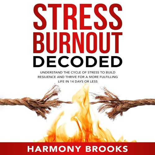 Cover of Stress Burnout Decoded