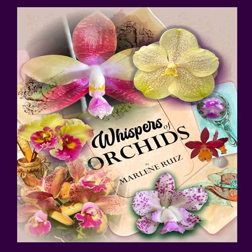 Cover of Whispers of Orchids