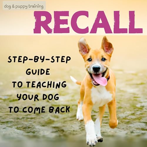 Cover of Recall