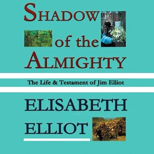 Cover of Shadow of the Almighty