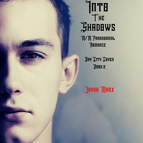 Cover of Into the Shadows