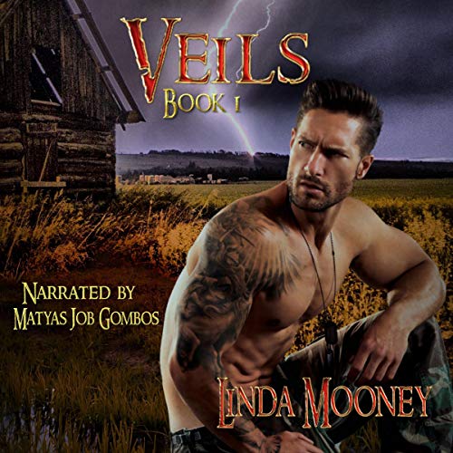 Cover of Veils