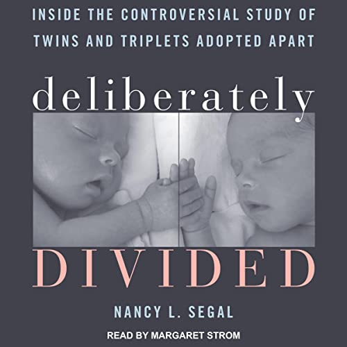 Cover of Deliberately Divided