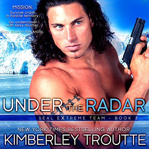 Cover of Under the Radar