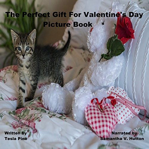 Cover of The Perfect Gift For Valentine's Day Picture Book