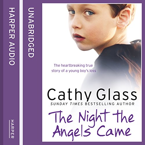 Cover of The Night the Angels Came