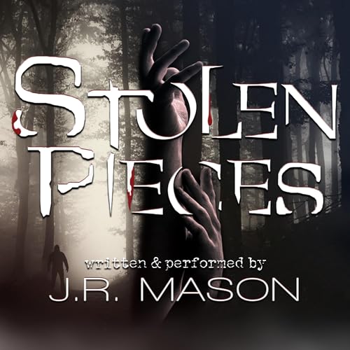 Cover of Stolen Pieces