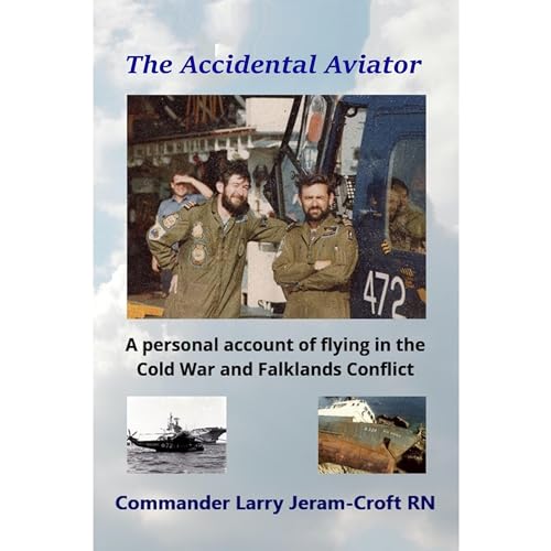 Cover of The Accidental Aviator