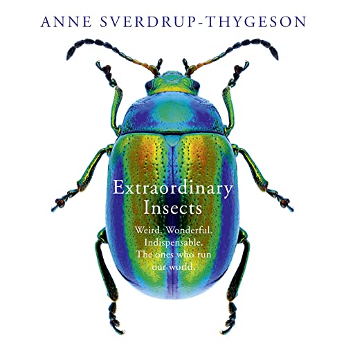 Cover of Extraordinary Insects