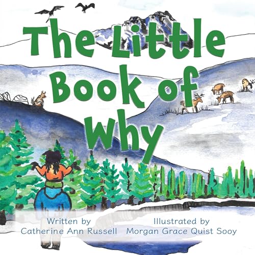 Cover of The Little Book of Why