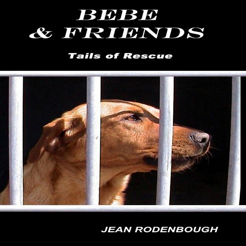 Cover of Bebe & Friends