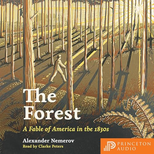 Cover of The Forest