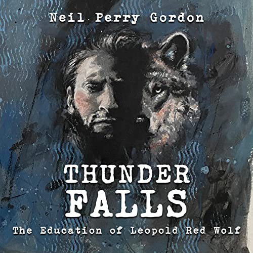 Cover of Thunder Falls