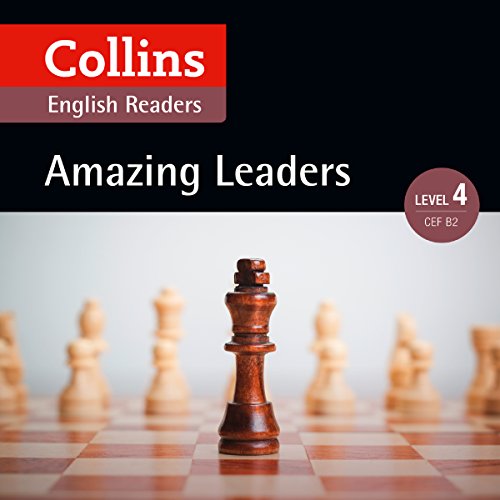 Cover of Amazing Leaders
