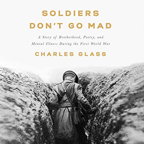 Cover of Soldiers Don't Go Mad