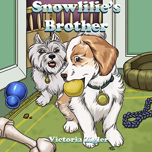 Cover of Snowlilie's Brother