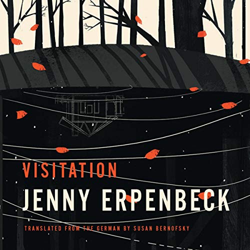 Cover of Visitation