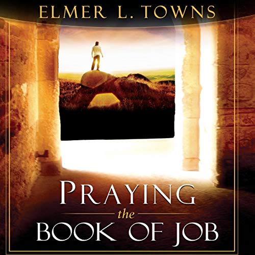 Cover of Praying the Book of Job