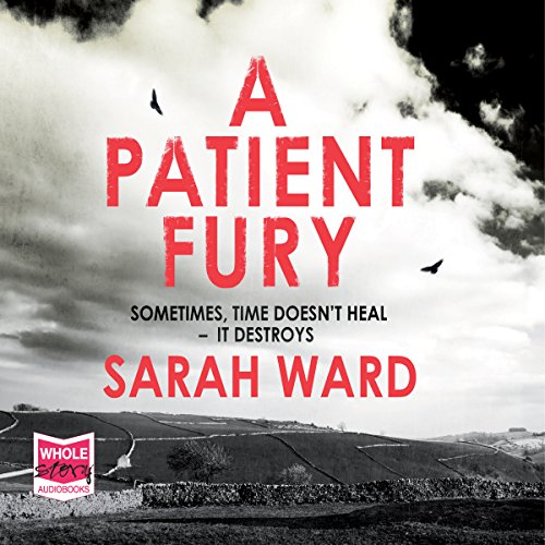 Cover of A Patient Fury