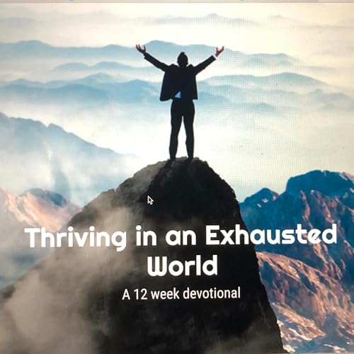 Cover of Thriving in an Exhausted World