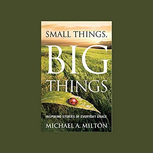 Cover of Small Things, Big Things