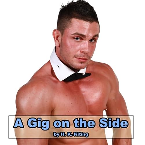 Cover of A Gig on the Side