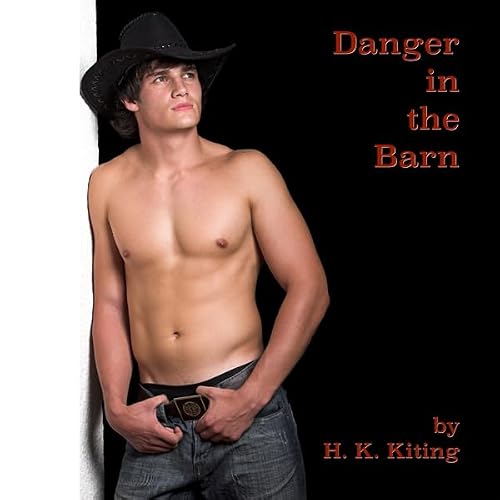 Cover of Danger in the Barn
